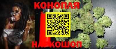 эйфоретик Новоалтайск