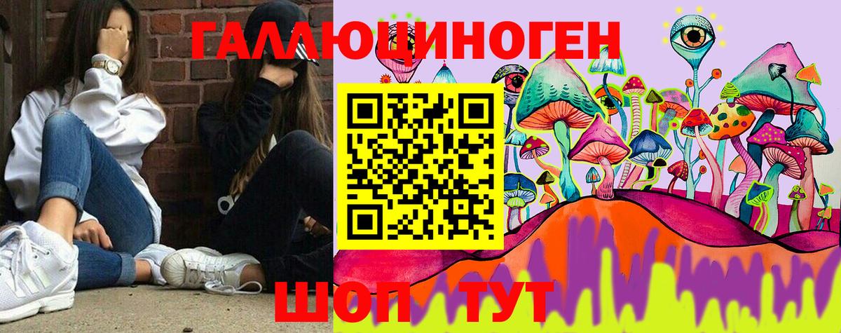 Псилоцибиновые грибы мицелий  Вход с VPN  Гусиноозёрск 